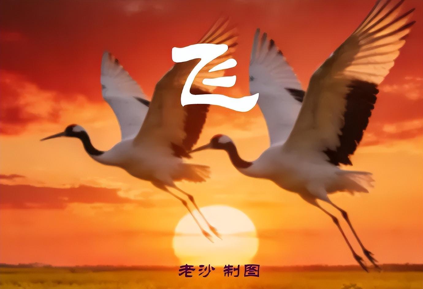 开云体育登录入口-4.28股市早8点丨英伟达疯了谷歌飙了